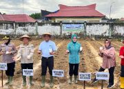 Dukung Ketahanan Pangan, Pemkot Kendari Manfaatkan Lahan Tidur PKK dengan Tanam Jagung Pulut ​
