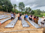 PNM Cabang Kendari Resmikan Rumah Pangan di Desa Rompu-Rompu: Bangun Sinergitas bersama PT Agri Farm dan Nasabah Mekaar