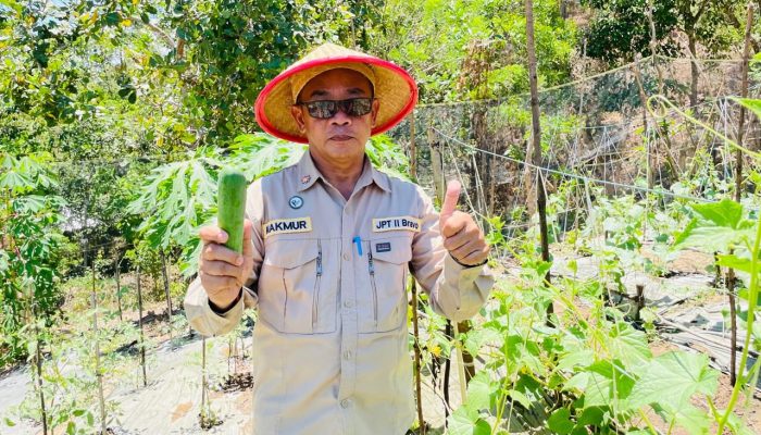 BPP Kendari Sukses Terapkan Inovasi Irigasi Tetes: Kadistan Beri Apresiasi di Tengah Keterbatasan