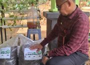 BPP Mandonga Kembangkan Pupuk Super Bokasi: Dorong Penerapan Pertanian Ramah Lingkungan dan Berkelanjutan di Kota Kendari