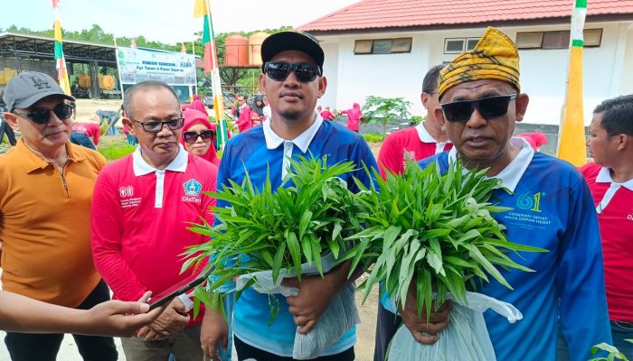 Panen Bersama, DPRD Apresiasi Program Kendari Berkebun: Dorong Pemanfaatan Lahan Tidur Jadi Produktif