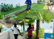 Direktur CV ACA Bantah Tudingan Belum Miliki Personel dan Peralatan Kebersihan di RSUD Bahteramas: Semua Sudah Bekerja!
