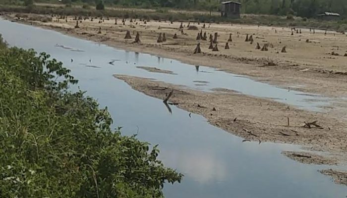 Warga Desak Aparat Usut Dugaan Pembiaran Aktivitas Ilegal di TN Rawa Aopa Watumohai