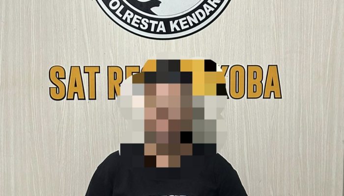 Satres Narkoba Polresta Kendari Bekuk Wanita Pengedar Sabu, 43 Paket Narkotika Disita