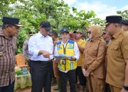 Tinjau Persawahan Amohalo Terdampak Banjir, Mentan Amran Sulaiman Turunkan Bantuan Benih dan Alsintan