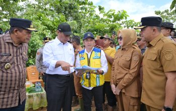 Tinjau Persawahan Amohalo Terdampak Banjir, Mentan Amran Sulaiman Turunkan Bantuan Benih dan Alsintan