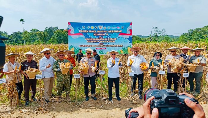 Pemprov Apresiasi Panen Raya Jagung Polda Sultra Dukung Program Ketahanan Pangan Nasional