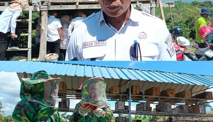 Distan Kendari Perkuat Pembinaan Poktan Tani Sejahtera Kembangkan Jeruk, Madu Trigona hingga Cabai