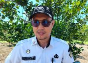 DPD Tani Merdeka Indonesia Kendari Segera Dilantik, Fokus Perkuat Pemberdayaan