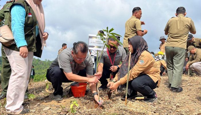 PT DSSP Power Kendari Serahkan Kawasan Rehabilitasi DAS Seluas 32 Hektar kepada Negara melalui Kementerian Kehutanan