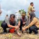PT DSSP Power Kendari Serahkan Kawasan Rehabilitasi DAS Seluas 32 Hektar kepada Negara melalui Kementerian Kehutanan