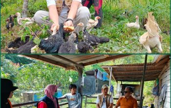 Perkuat Ketahanan Pangan, TMI Kendari Dampingi Petani Susun CPCL dan Persiapkan Sentra Ayam Petelur