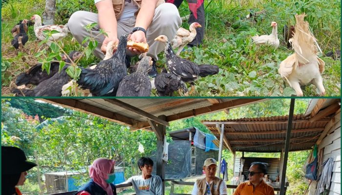 Perkuat Ketahanan Pangan, TMI Kendari Dampingi Petani Susun CPCL dan Persiapkan Sentra Ayam Petelur
