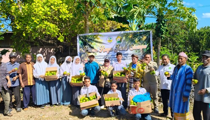 Panen Raya Jeruk Siompu Jadi Bukti Sukses AMI dan Pemprov Sultra Selamatkan Varietas Endemik
