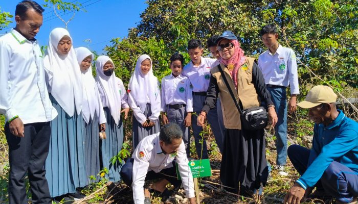 Usai Panen Raya, AMI Bersama Warga dan Pelajar Tanam Bibit Jeruk Siompu di Desa Biwinapada