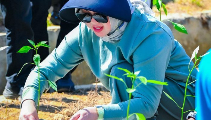 Siska Karina Imran Gerakkan Kendari Bertanam, Lahan Kosong Dibidik Jadi Penghasil Pangan