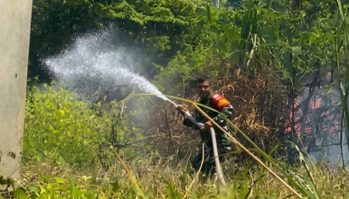 Pantang Mundur Terobos Asap, Babinsa Mandonga bersama Warga Jinakkan Api di Korumba