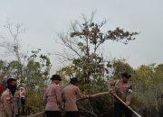 Penanganan Karhutla, Brimob Kembali Turun di Biak