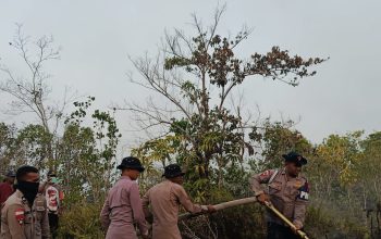 Penanganan Karhutla, Brimob Kembali Turun di Biak