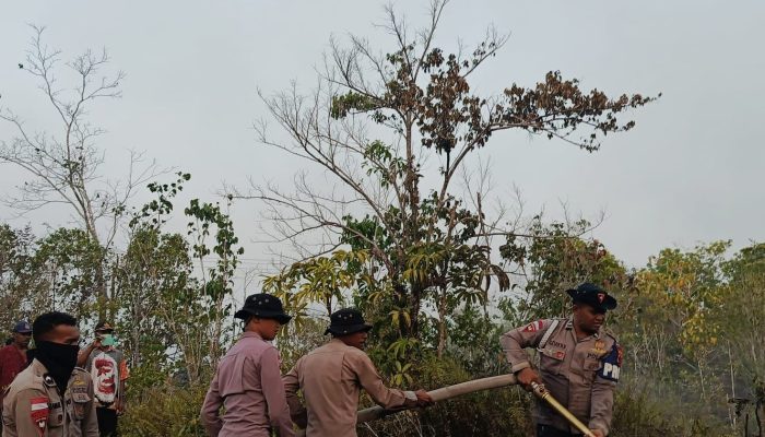 Penanganan Karhutla, Brimob Kembali Turun di Biak