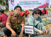 Komisi II DPRD Kendari Apresiasi Gerakan Kendari Menanam, Cabai Jadi ‘Senjata’ Tekan Inflasi