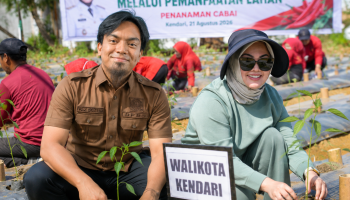 Komisi II DPRD Kendari Apresiasi Gerakan Kendari Menanam, Cabai Jadi ‘Senjata’ Tekan Inflasi