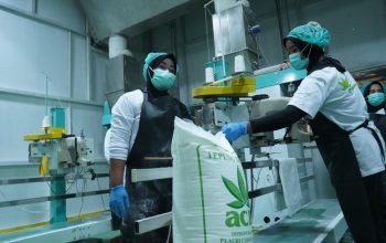 Barantin dan Pemprov Sultra Lepas Ekspor Tepung Tapioka dan Minyak Kelapa Senilai Rp10,9 Miliar ke Tiongkok dan Malaysia