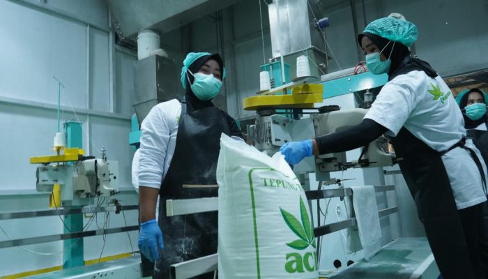 Barantin dan Pemprov Sultra Lepas Ekspor Tepung Tapioka dan Minyak Kelapa Senilai Rp10,9 Miliar ke Tiongkok dan Malaysia