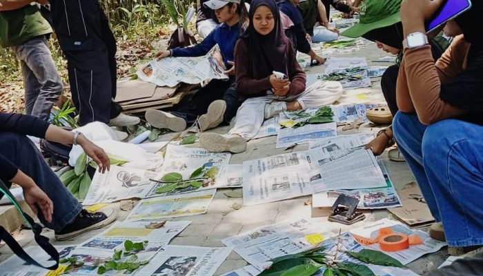 Kebun Raya UHO Sukseskan Pelatihan Teknik Identifikasi dan Pembuatan Herbarium