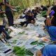 Kebun Raya UHO Sukseskan Pelatihan Teknik Identifikasi dan Pembuatan Herbarium