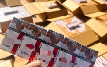 3,9 Juta Batang Rokok Ilegal Disita Bea Cukai Kendari, Potensi Kerugian Negara Tembus Rp4 Miliar