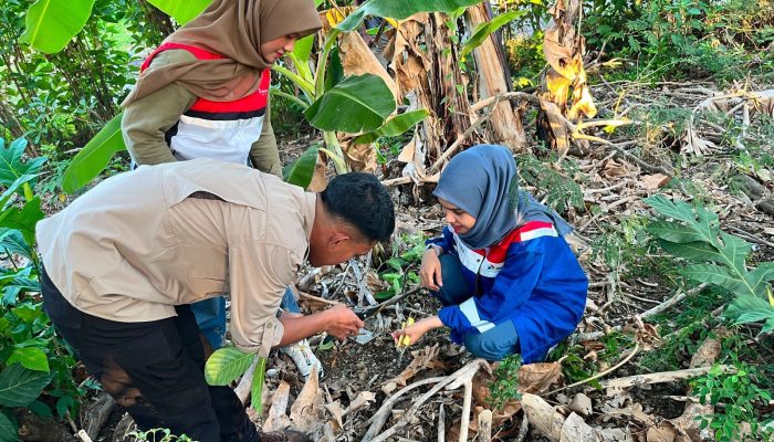 Menelusuri Kekayaan Flora Sulawesi, Pertamina Patra Niaga Sulawesi dan UPT Kebun Raya Pucak Eksplorasi Tanaman di Bone