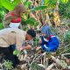 Menelusuri Kekayaan Flora Sulawesi, Pertamina Patra Niaga Sulawesi dan UPT Kebun Raya Pucak Eksplorasi Tanaman di Bone