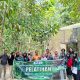 UPA Kebun Raya UHO Latih Mahasiswa dan Dosen Hitung Potensi Karbon dan Biodiversitas
